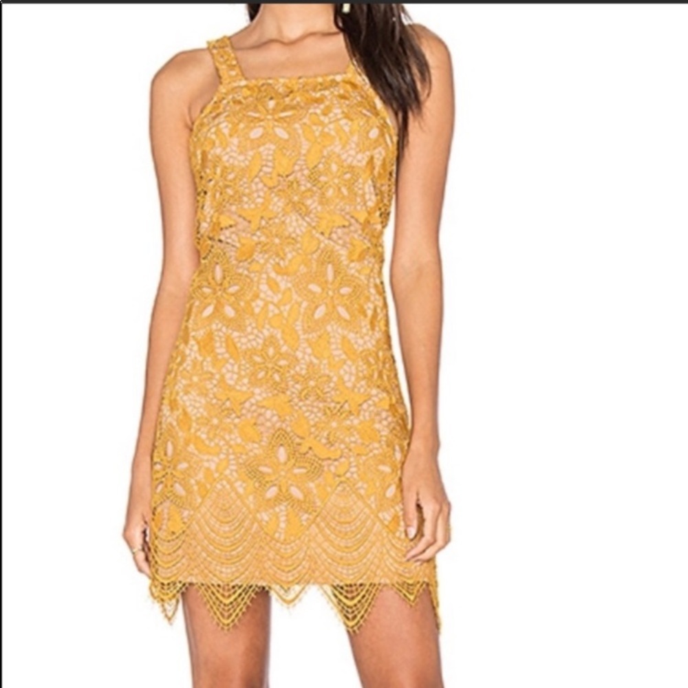 WAYF Lace Mini • NWT!!